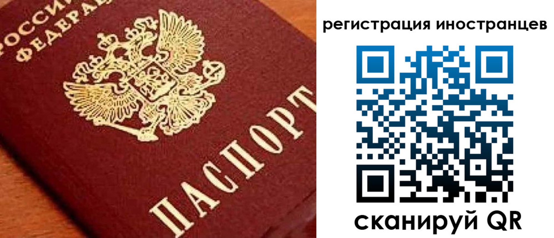 прописка для школы в Гвардейске